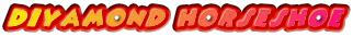 DIYAMOND HORSESHOE